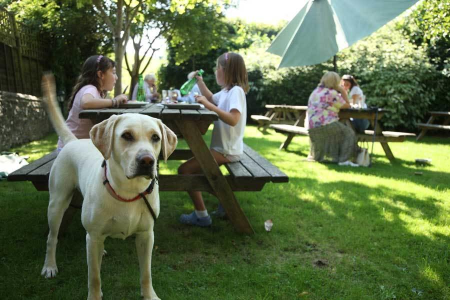 Bed and Breakfast The Star And Garter East Dean  Exterior foto
